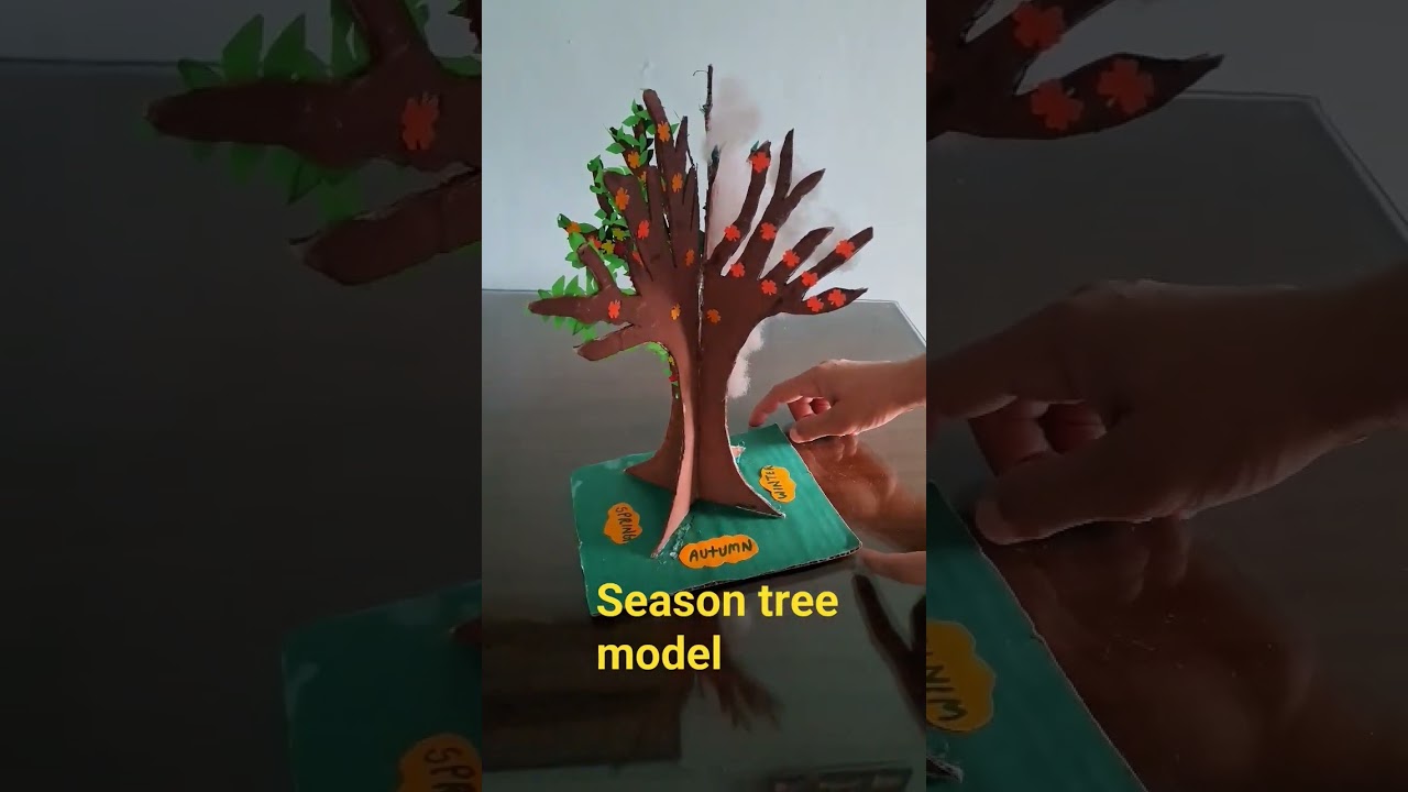 season tree model 