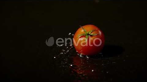 Tomato rotating on wet surface, Ultra Slow Motion | Stock Footage - Envato elements