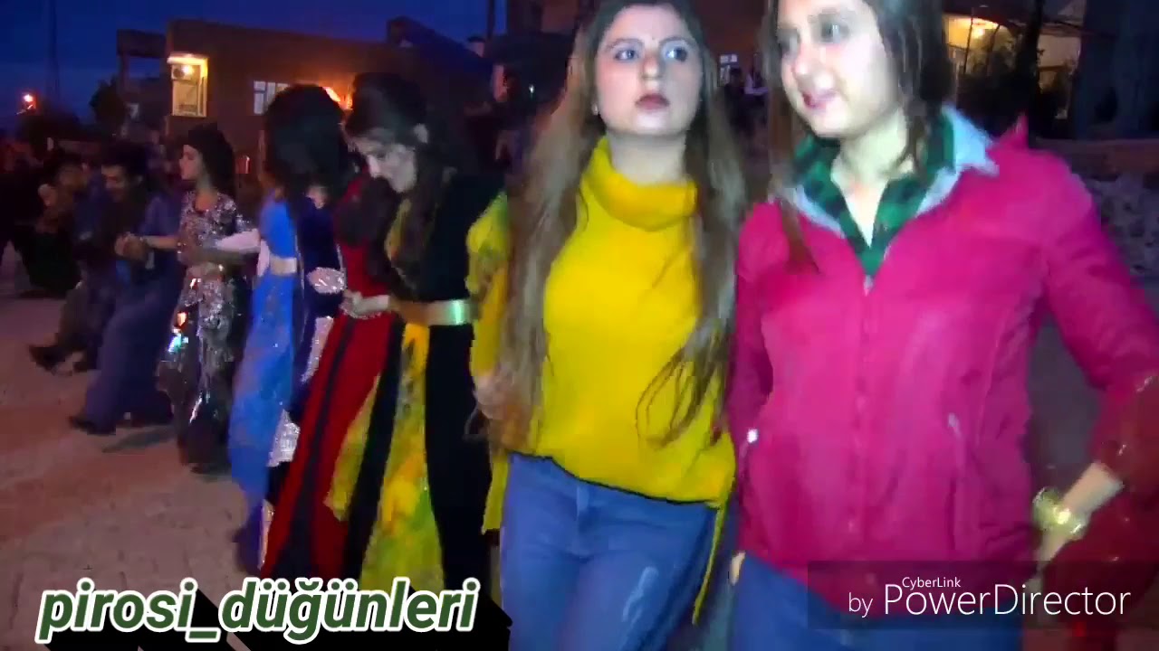 Şiyar Berwari_2019_yeni şexani /Silopi /(Pirosi Aşireti Düğünü) [•HD ]
