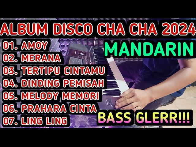 DISCO CHA CHA 2024 - FULL ALBUM MANDARIN PILIHAN TERBAIK BASS GLERR!!! class=