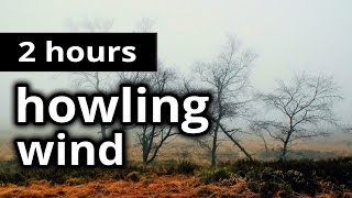 WIND SOUNDS: "Howling Wind" - A whistling wind outside on the bleak moors - RELAXING SLEEP SOUNDS