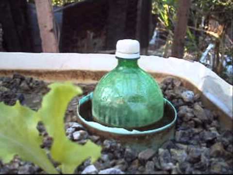 filtro para caixa d água aquaponia muito bom limpa tudo - YouTube