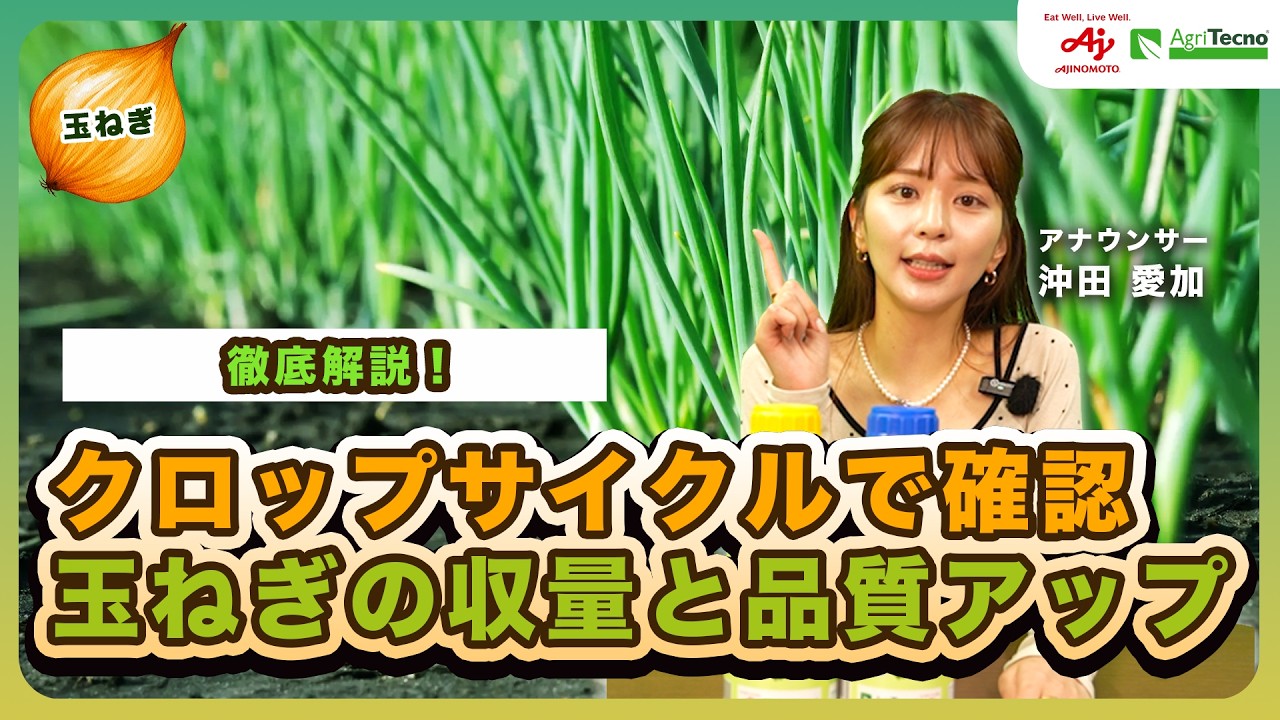 【玉ねぎ】収量・品質アップをクロップサイクル、植物生理から再確認‼️栽培ステージごとのやるべきこと、BS（バオイスティミュラント）の活用が明確に‼️育苗前の今是非見てほしい‼️北海道の農家さん必見‼️