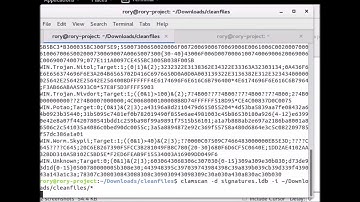 Signature Testing of Clam-AV Signatures