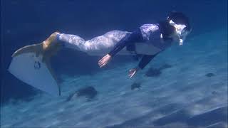 ２０２１年５月スキンモノフィンマーメイド