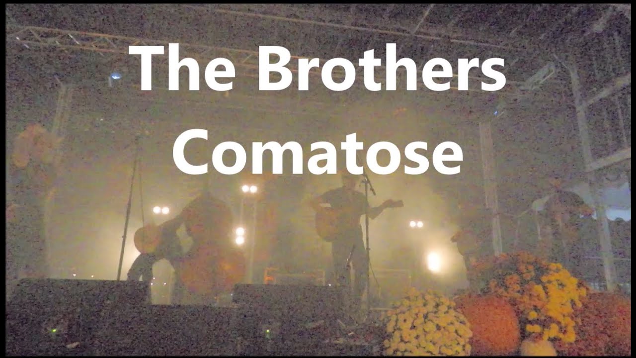 The Brothers Comatose - 2025 3Sisters Bluegrass Festival - Chattanooga, TN