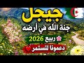 الجزائر من أجمل دول العالم شاهد سحر جيجل في الربيع 2026 جيجل الجزائر طبيعة ربيعAlgeria Nature L 