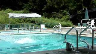 Alec - fancy dive screenshot 5
