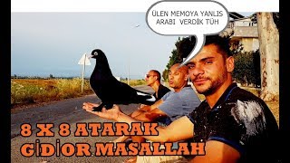 Download lagu Mehmet Hocanın AraP Güvercin Bu Sefer Ortalığı Yıktı Helal olsun 8 x 8 Mehmet Hocanın AraP Güvercin Bu Sefer Ortalığı Yıktı Helal olsun 8 x 8