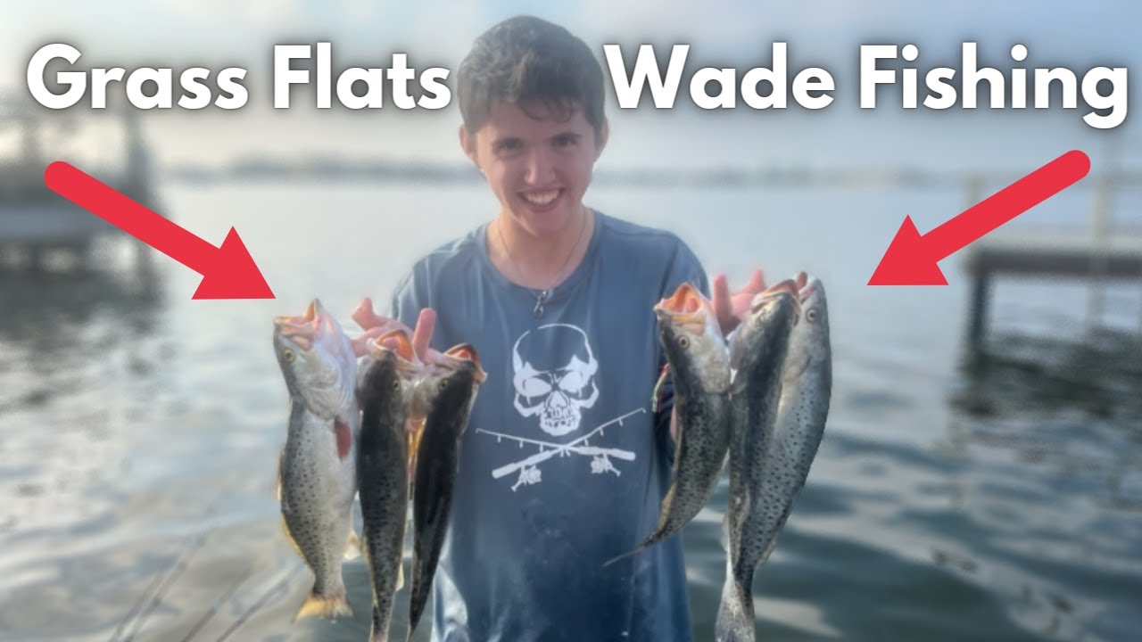 Speckled Trout Everywhere with NonStop Action Wade Fishing Tampa Bay