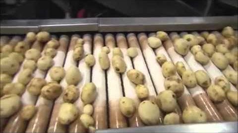 Frito Lay Production Process