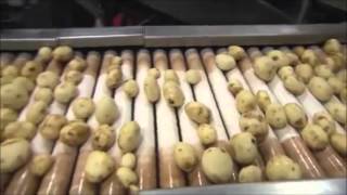 Frito Lay Production Process