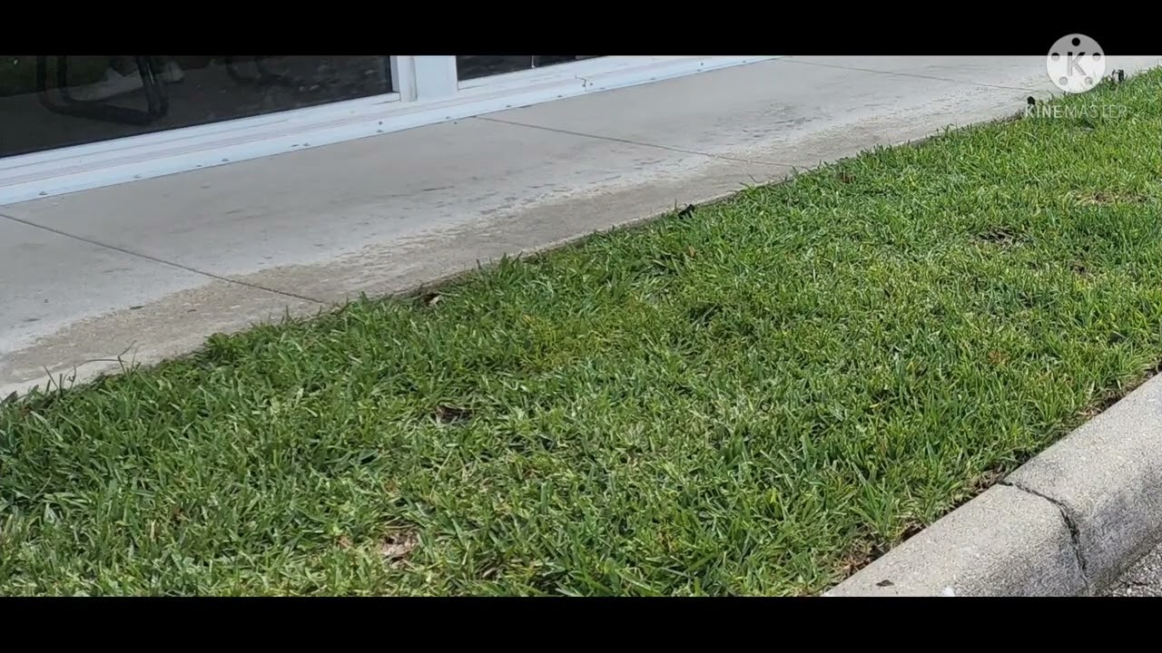 Broward County Florida voted #1 In customer service by the Florida's homeowners board.