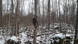 MILTON ONTARIO HIKE. NAMELESS PREACHER MILTON ONTARIO HIKE. NAMELESS PREACHER