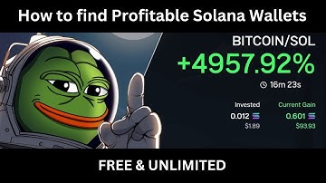 The Fastest Way To Find Profitable Solana Wallets
