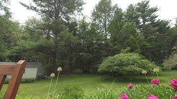 ESC sync issues with quad copter