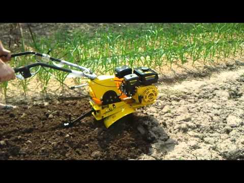 ??????????? champion bc 8713