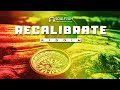 **FREE** Reggae Instrumental Beat 2020 ►RECALIBRATE RIDDIM◄