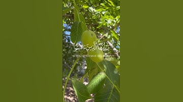 سورة الأحزاب ❤️‍🩹 #قرآن #اكسبلور #لايك #تيك_توك