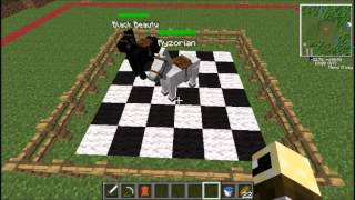 Mo Creatures Tutorial - how to breed your Horses in Mo 'Creatures 3.7.1 and later