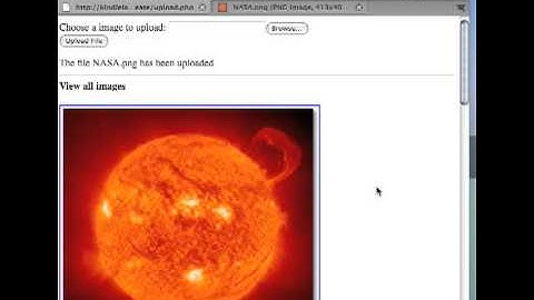 Dynamic images to texture in Opensim