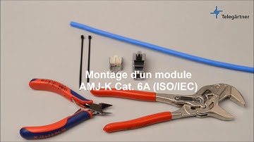 Câbler du module AMJ K Cat.6A  | Telegärtner