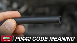 What Does DTC P0442 Mean? Evaporative Emission System Leak Detected (Small Leak)