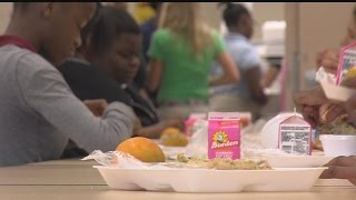 12,000 more students to receive free school lunch in Lee Co.