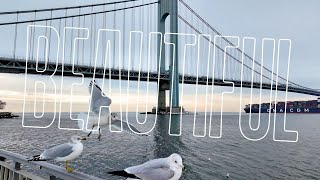 Brooklyn to New Jersey through Staten Island NY 🗽 New York’s Longest Bridge | Verrazano Narrows NYC