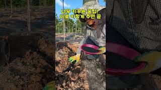 한 번 주고 3달 방치해도 잘 자람