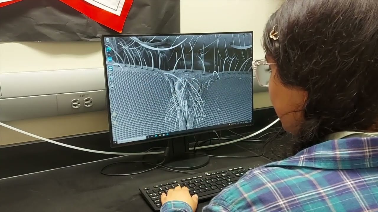 Table Top SEM Hitachi TM4000Plus - Starting the instrument