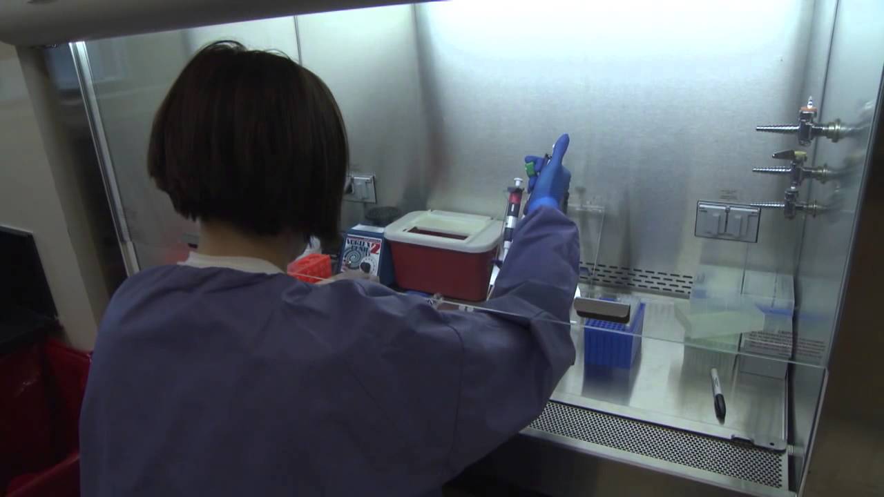 camera iphone 8 plus apk Working On an Ebola Vaccine