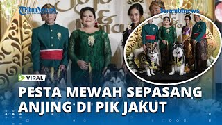 VIRAL Pernikahan Super Mewah Pakai Adat Jawa, Sepasang Anjing di PIK Jakarta Utara