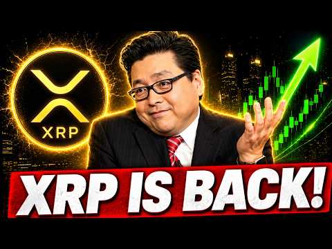 Thumbnail for XRP Gets No Respect, But Here's Why That's Changing