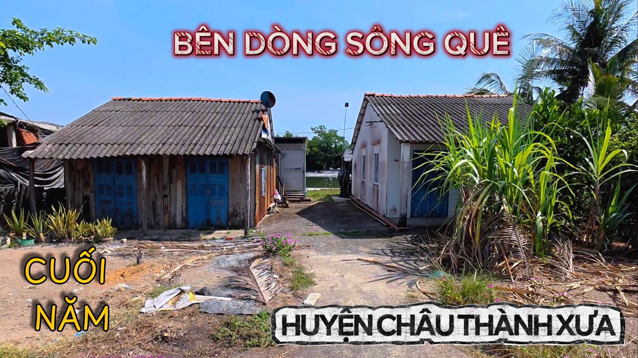 Làng Quê Cặp Mé Sông Cái Những Ngày Cuối Năm Của Huyện Châu Thành Xưa.