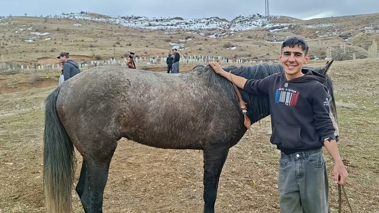 Atların ikinci yarışı