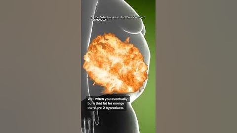 What happens to fat when you lose weight is pretty wild.