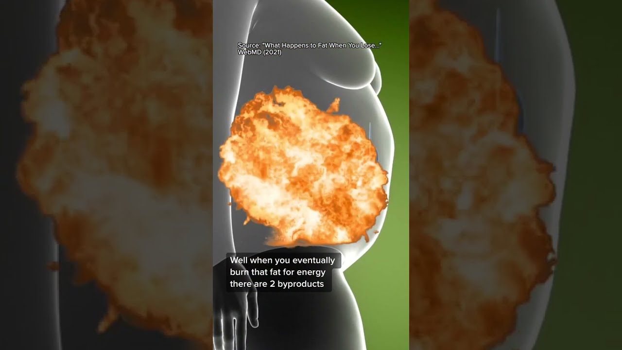 What Happens To Fat When You Lose Weight Is Pretty Wild 