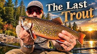THE LAST BROOK TROUT - A Fall Overnight Canoe Camp