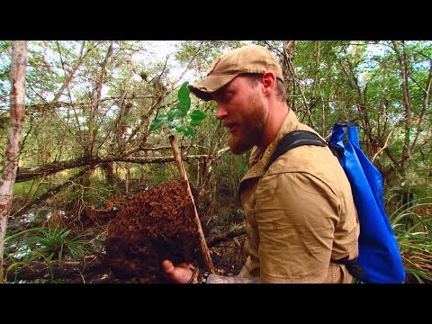 Video: Myggeafvisende Midler: Placering Af De Bedste Midler, Naturlige Og Andre Formuleringer. Hvordan Fungerer De, Og Hvad Er Det? Frastødende Lys, Cremer Og Andre Typer