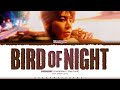 TAEHYUN TXT Bird Of Night Lyrics 투모로우바이투게더 Bird Of Night 가사 Color Coded Han Rom Eng TAEHYUN TXT Bird Of Night Lyrics 투모로우바이투게더 Bird Of Night 가사 Color Coded Han Rom Eng