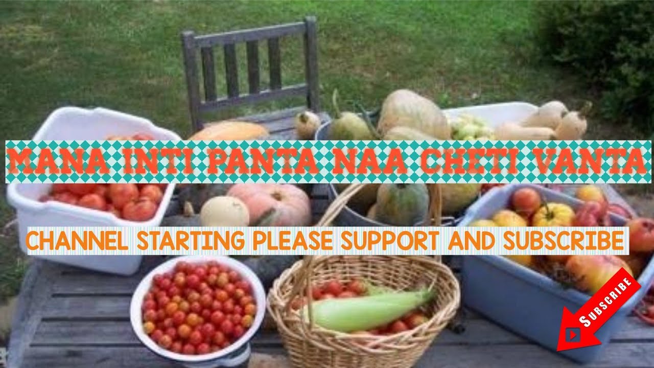 My channel intro mana into panta Naa cheti vanta please subscr - YouTube