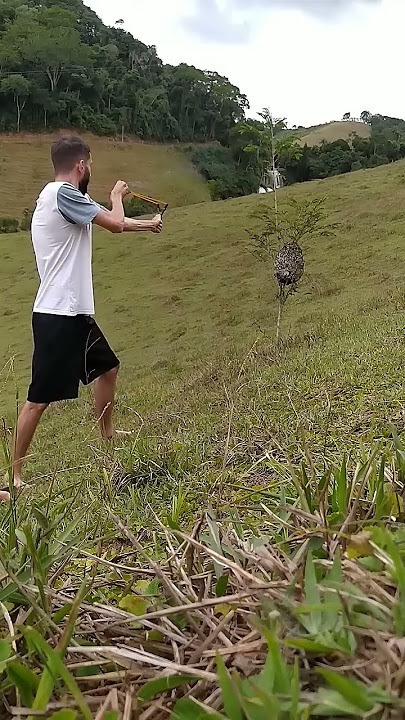 Wasp nest attack Fail. It's wasn't good idea...