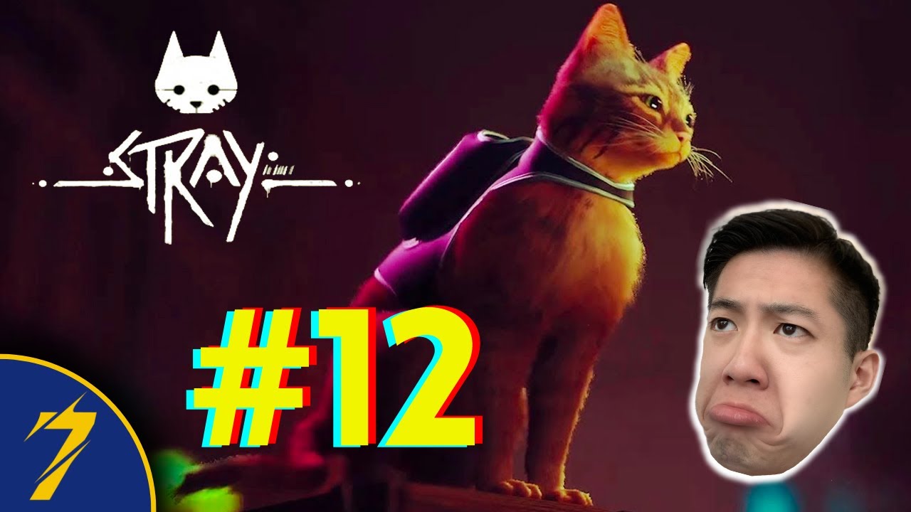 I Will Remember You :') (Control Room) - Stray (Let's Play FINALE)