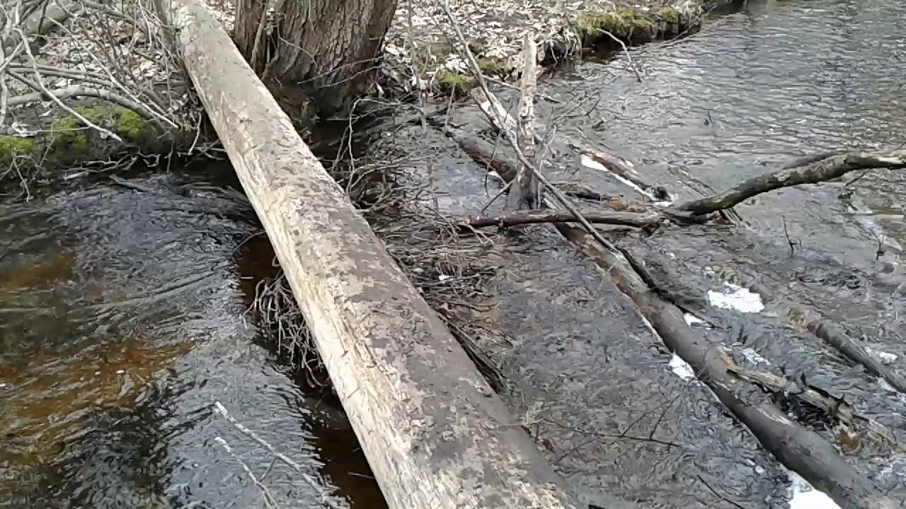 camera iphone 8 plus apk Changing the flow of a creek