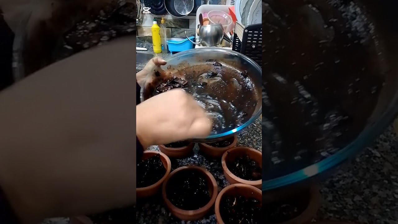 احله كبات ممكن تعمليه بي سكوت المدارس تعالي اقولك ا🥰🥰