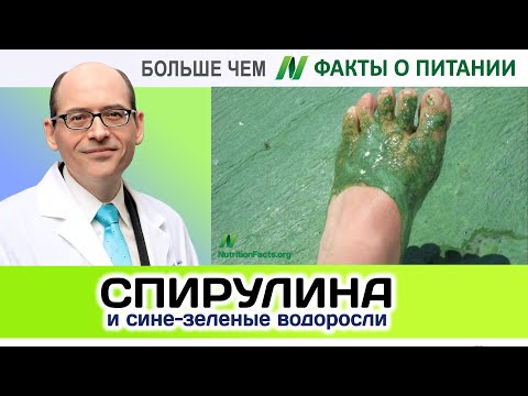 0006.Сине зеленые водоросли и спирулина | Больше чем ФАКТЫ О ПИТАНИИ - Майкл Грегер