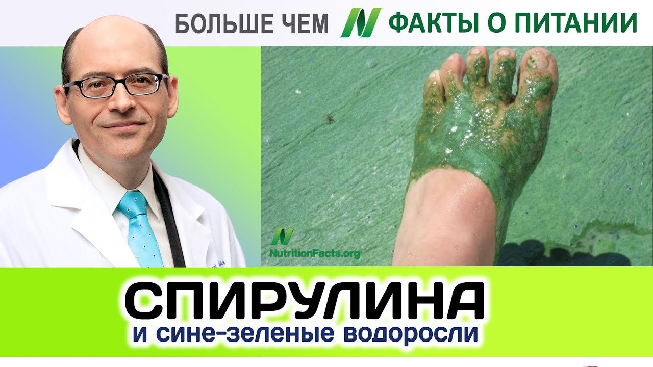 0006.Сине зеленые водоросли и спирулина | Больше чем ФАКТЫ О ПИТАНИИ - Майкл Грегер