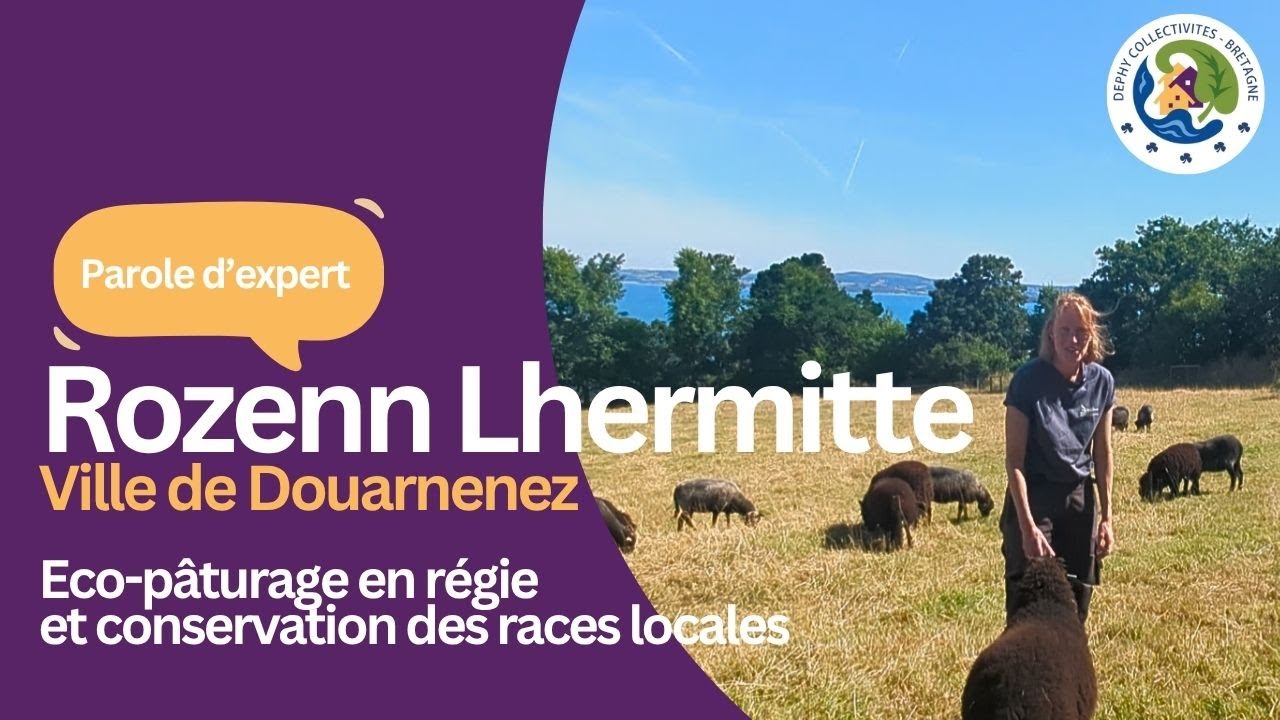 Parole d'expert : Rozenn Lhermitte, ville de Douarnenez