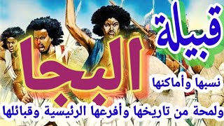 قبيلة البجا نسبها ولمحة من تاريخها وأماكنها في السودان ومصر وفروعها الرئيسية و قبائلها